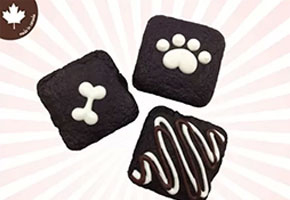 bakery_05