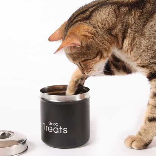 A tabby cat paws at a metal container filled with cat treats on a white background.
