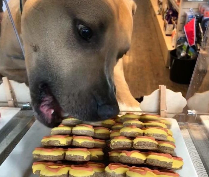 dog-bakery