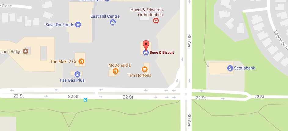 pet-store-red-deer-google-map
