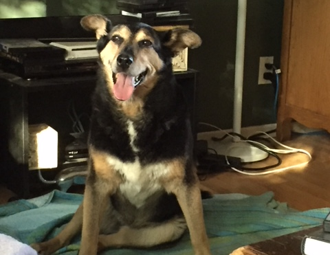 Sadie