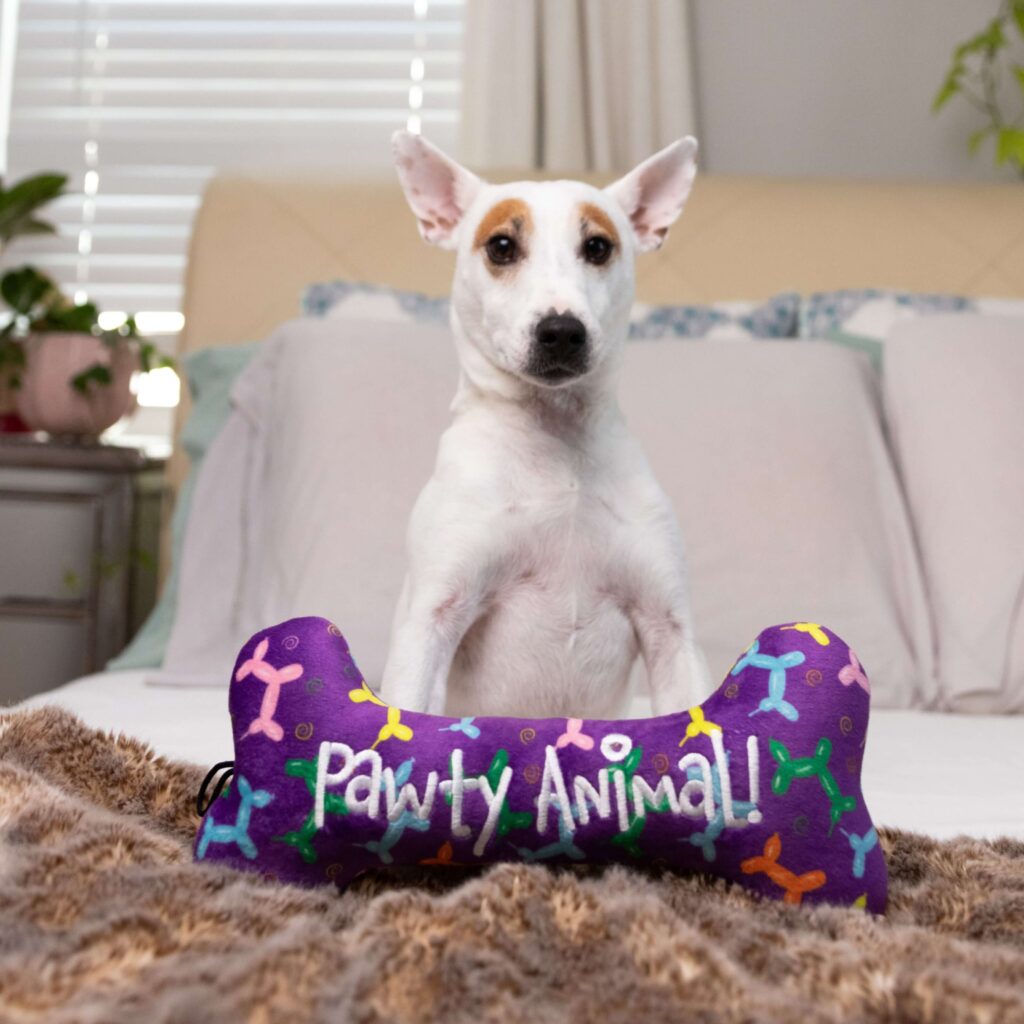 White dog with pointy ears with a large purple Huxley & Kent dog toy shaped as a bone that says 'Pawty Animal' on the front 