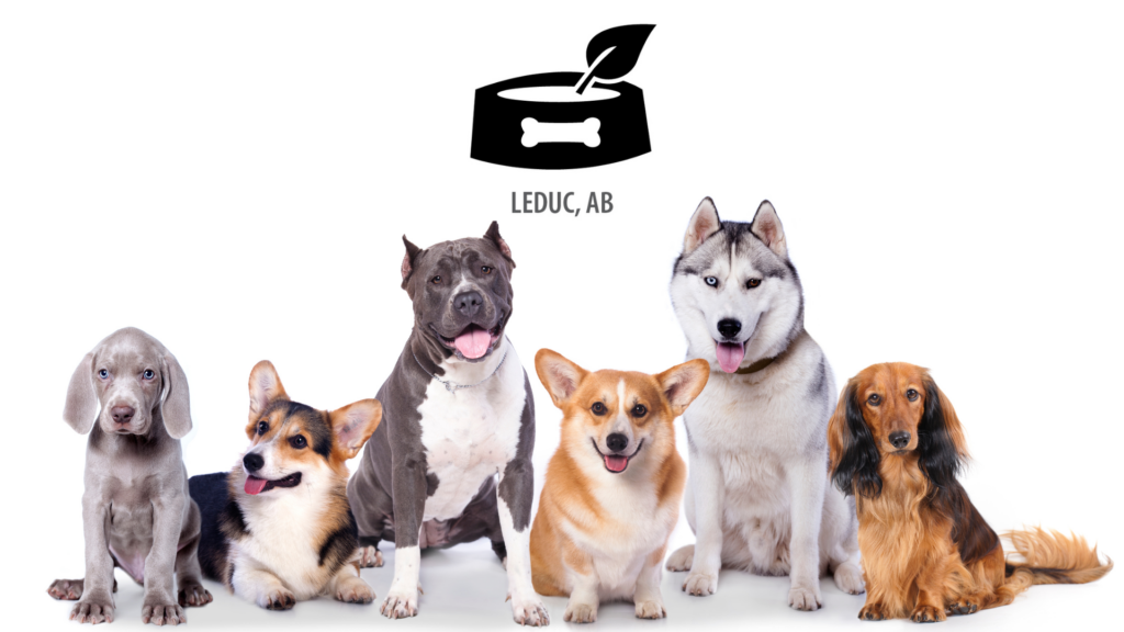Six dogs of different sizes and breeds stand next to one another in a line with the Bone & Biscuit Leduc logo above them on a white background.