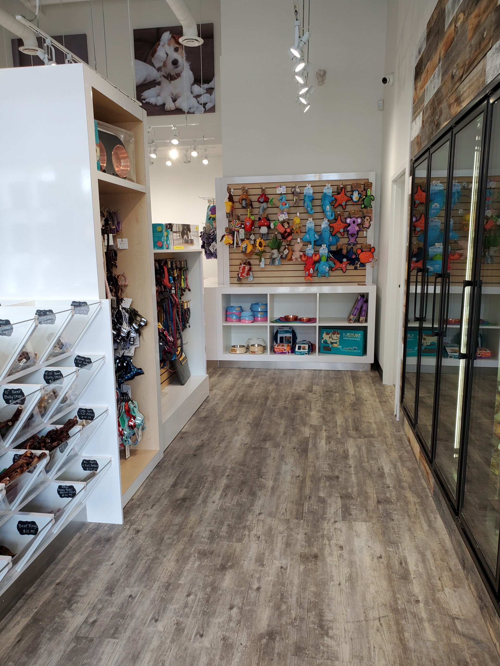 Inside the Bone & Biscuit Yonge Sheppard store, displaying it's wood-style floors and shelves of dog food, cat food, toys and pet treats in a brightly lit store.