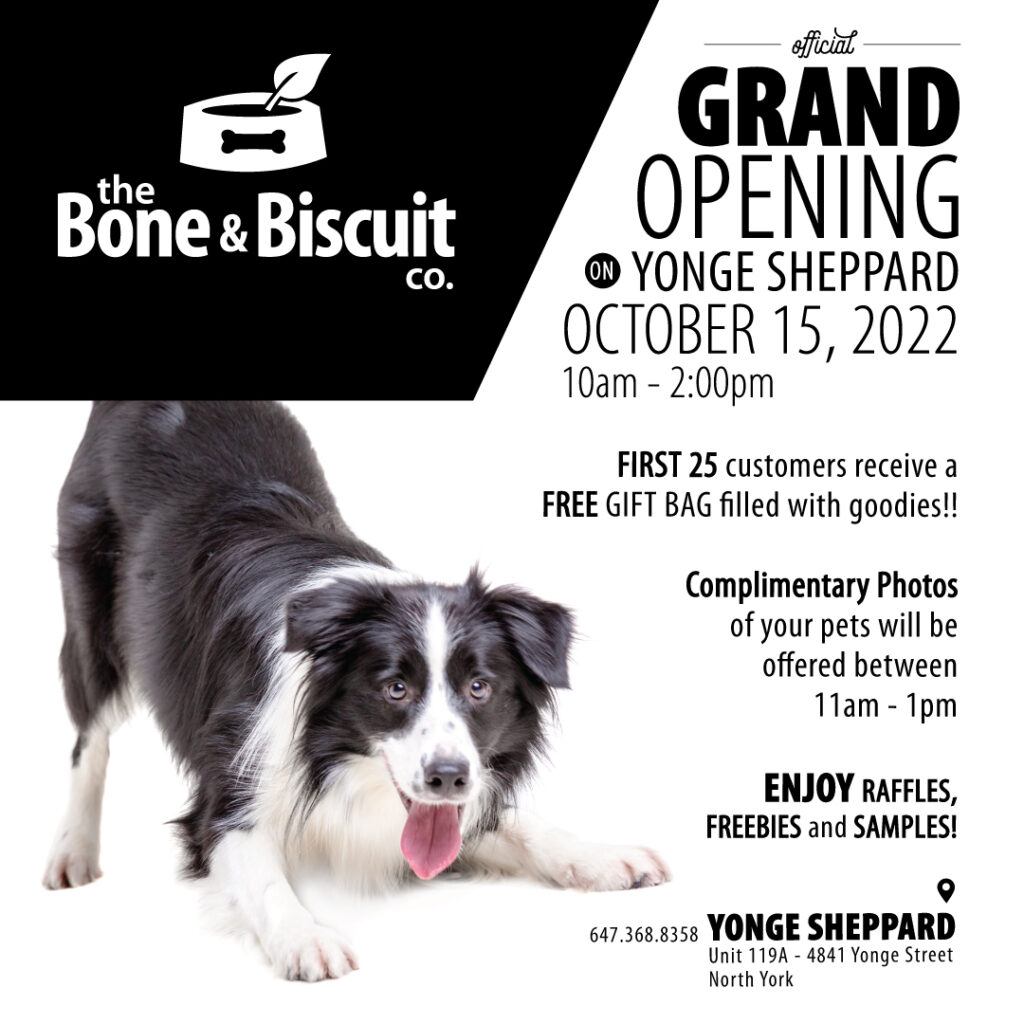 The Grand Opening Celebration information for Bone & Biscuit Yonge Sheppard.