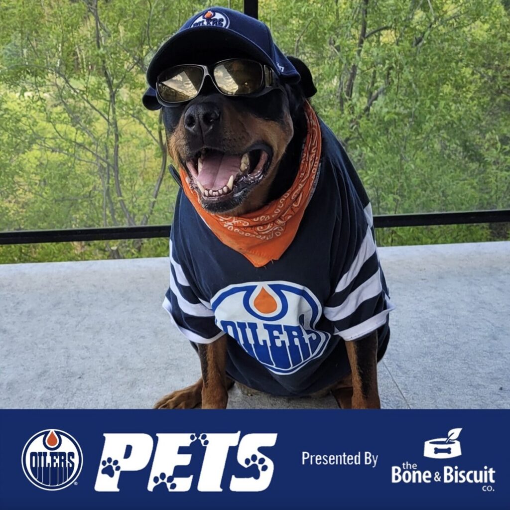 The Oilers Pets Pet Photo Contest winner from November 2022, a rottweiler in an Oilers pet jersey and sunglasses, sponsored by the Edmonton Oilers and Bone & Biscuit.