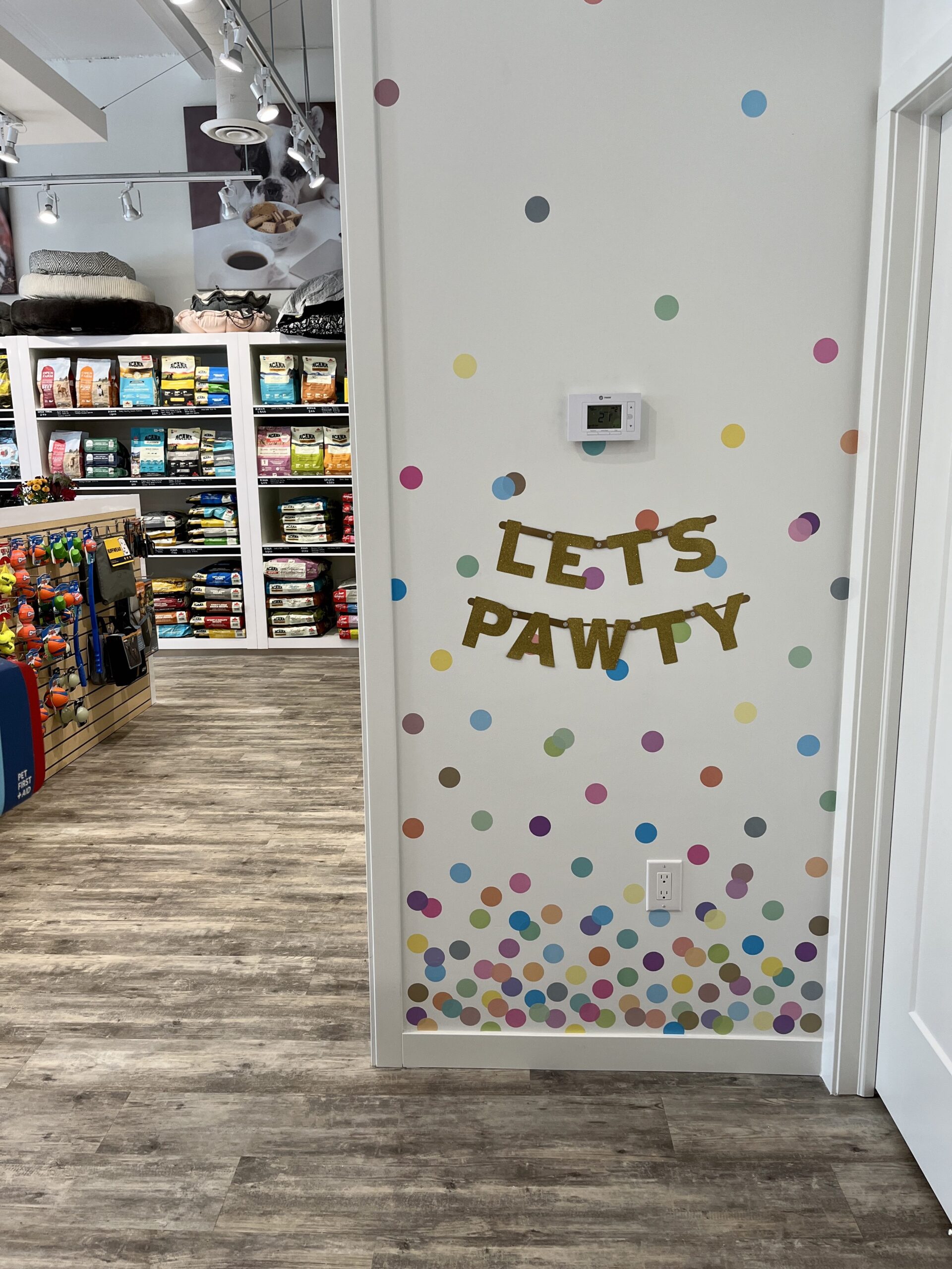 The birthday wall for taking pet photos with the words Let's Pawty decorated on it inside the brightly lit, nicely decorated Bone & Biscuit Garneau location, a pet supply store in Edmonton, Alberta.