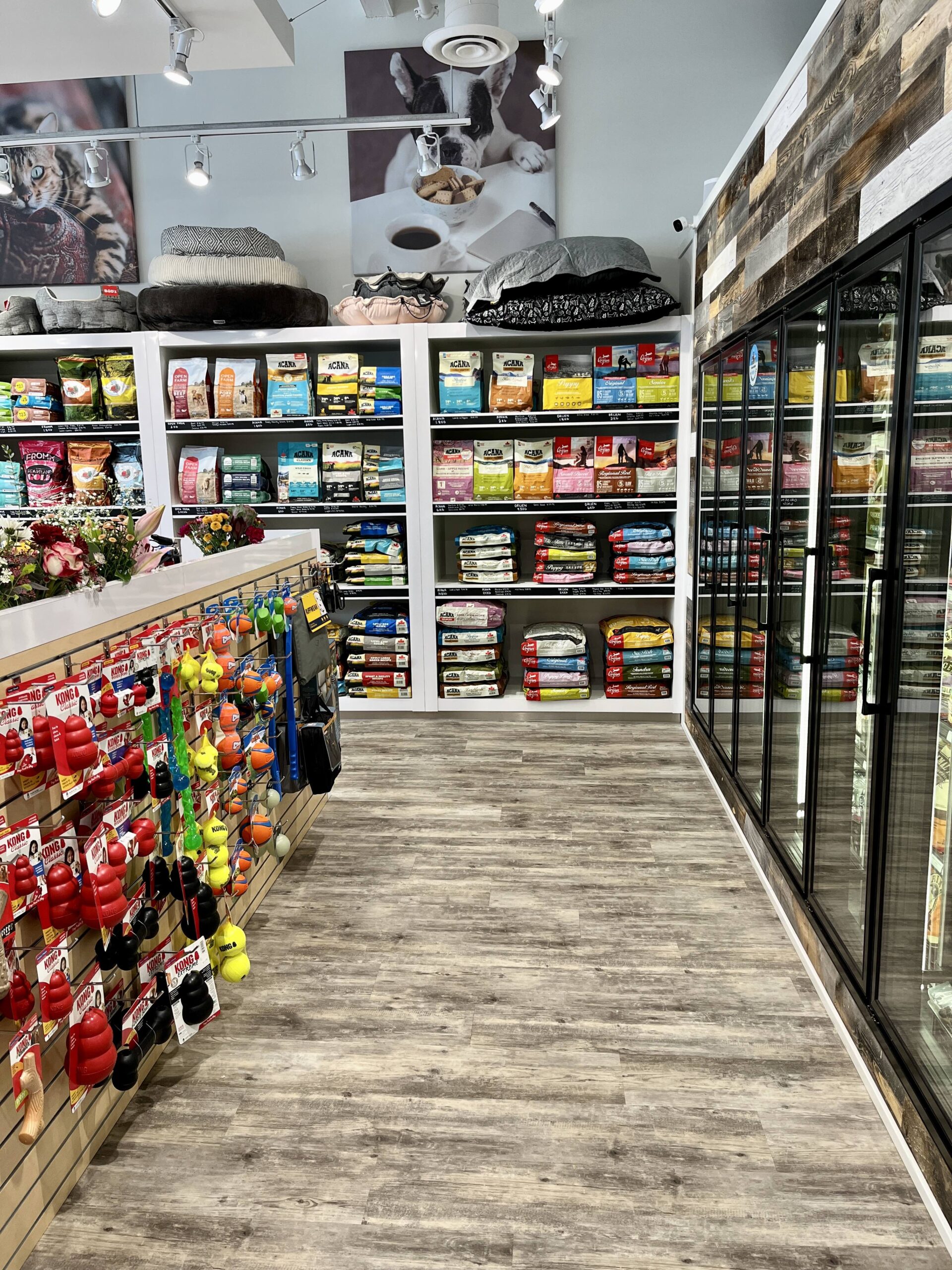 The freezer and fridge shelves with dog and cat treats and food inside the brightly lit, nicely decorated Bone & Biscuit Garneau location, a pet supply store in Edmonton, Alberta.