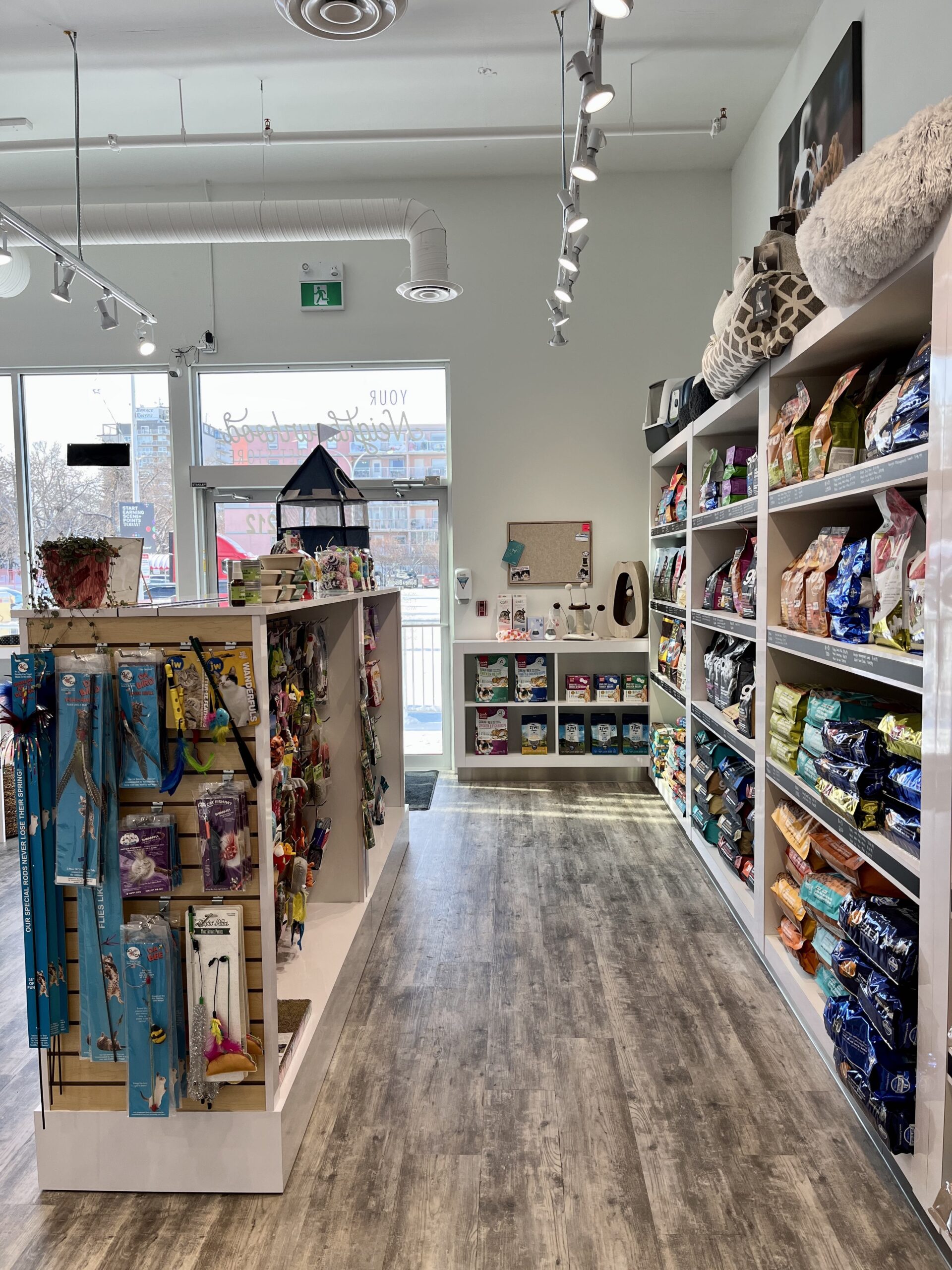 Shelves with dog treats and dog and cat food inside the brightly lit, nicely decorated Bone & Biscuit Garneau location, a pet supply store in Edmonton, Alberta.
