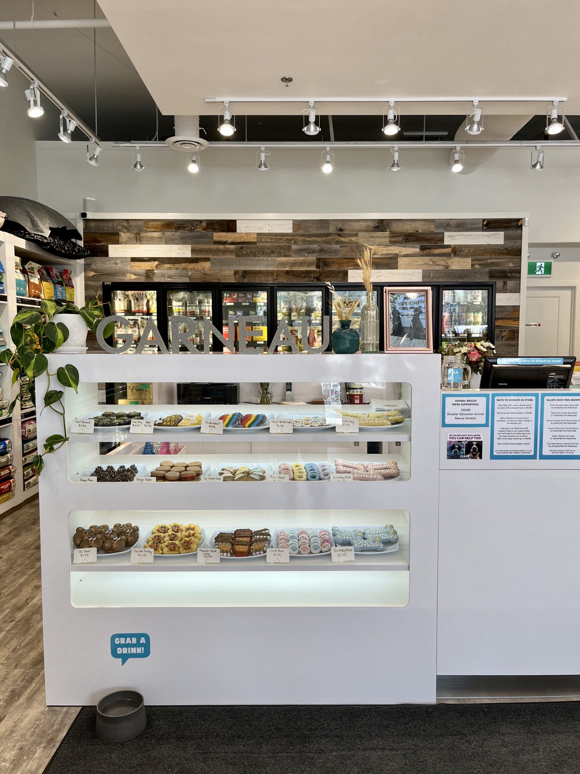 The Bone & Biscuit bakery display case with cute dog cookies and treats on display at the front counter inside the Bone & Biscuit Garneau location, a pet supply store in Edmonton, Alberta.