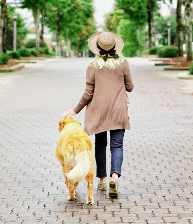 A woman in a straw hat and brown sweater with her back turned walks her golden retriever dog in the opposite direction along a brick path in a park as a way of participating in the Paws In Motion spring pet fitness initiative.