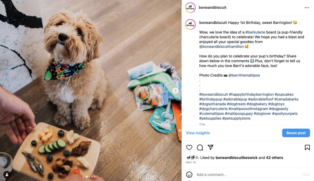 A screenshot of a Bone & Biscuit Instagram post sharing one of their pet store customers cute pics of a labradoodle puppy on their birthday enjoying dog treats and a barkuterie board.
