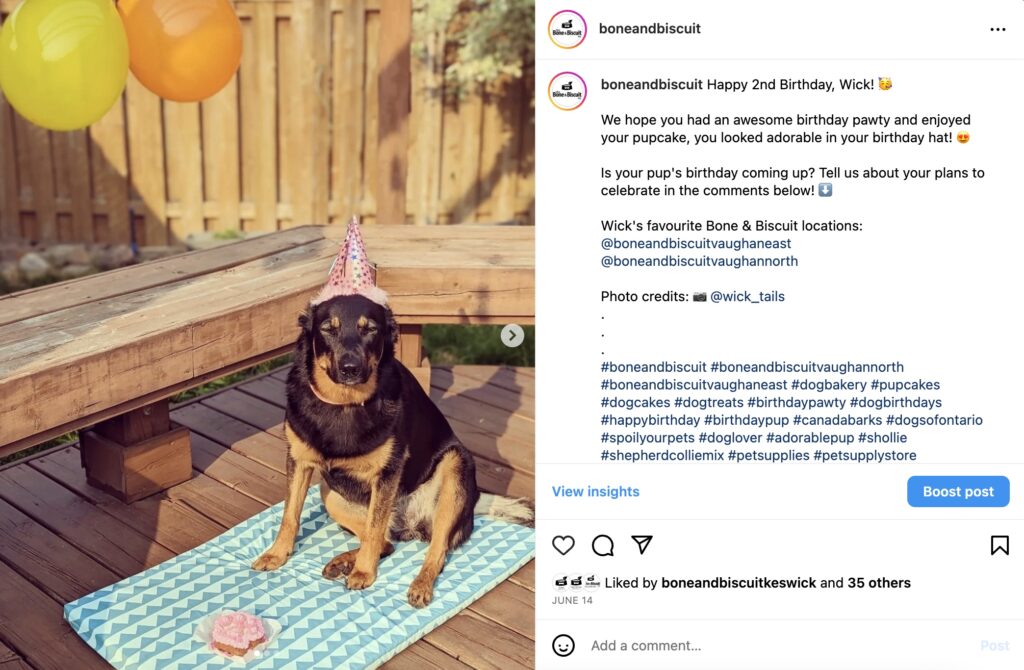 A screenshot of a Bone & Biscuit Instagram post sharing one of their pet store customer's cute pics of a Shepherd Collie mix on their birthday enjoying a dog birthday cake (a dog friendly birthday cake) from the Bone & Biscuit.