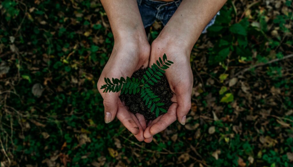 Two hands cupped together hold a small pile of dirt with a green plant sprouting from the dirt, demonstrating the importance of sustainable efforts like biodegradable poop bags for the Earth's health.
