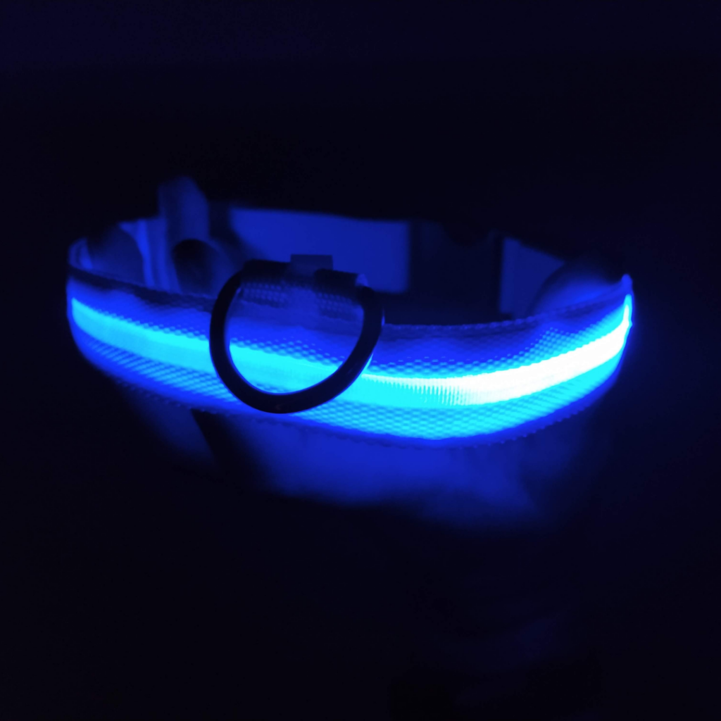 A glow in the dark dog collar that lights up blue in the dark.