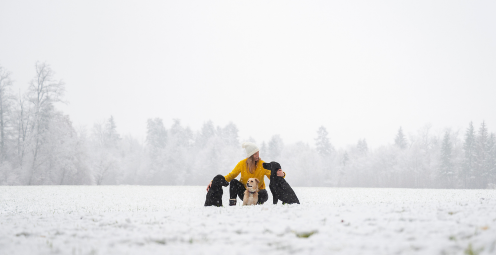 A woman in a yellow sweater and white toque crouches beside her three dogs in a snowy field on a winter's day exploring their neighbourhood as one of their New Year's Resolutions to do with their pets.