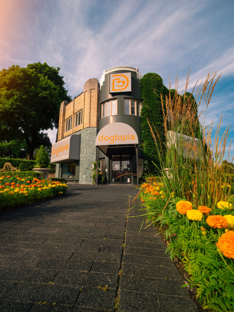 Image of the front of a Dogtopia location