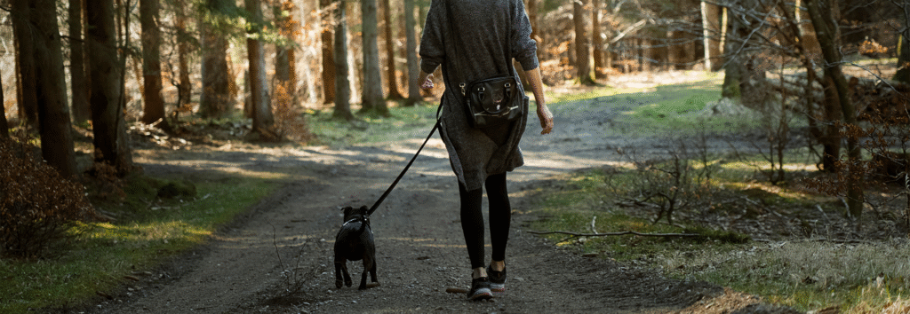 Pet owner walking pet on pet leash