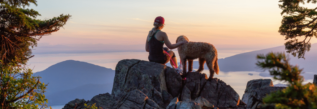 Dog Hiking Trail