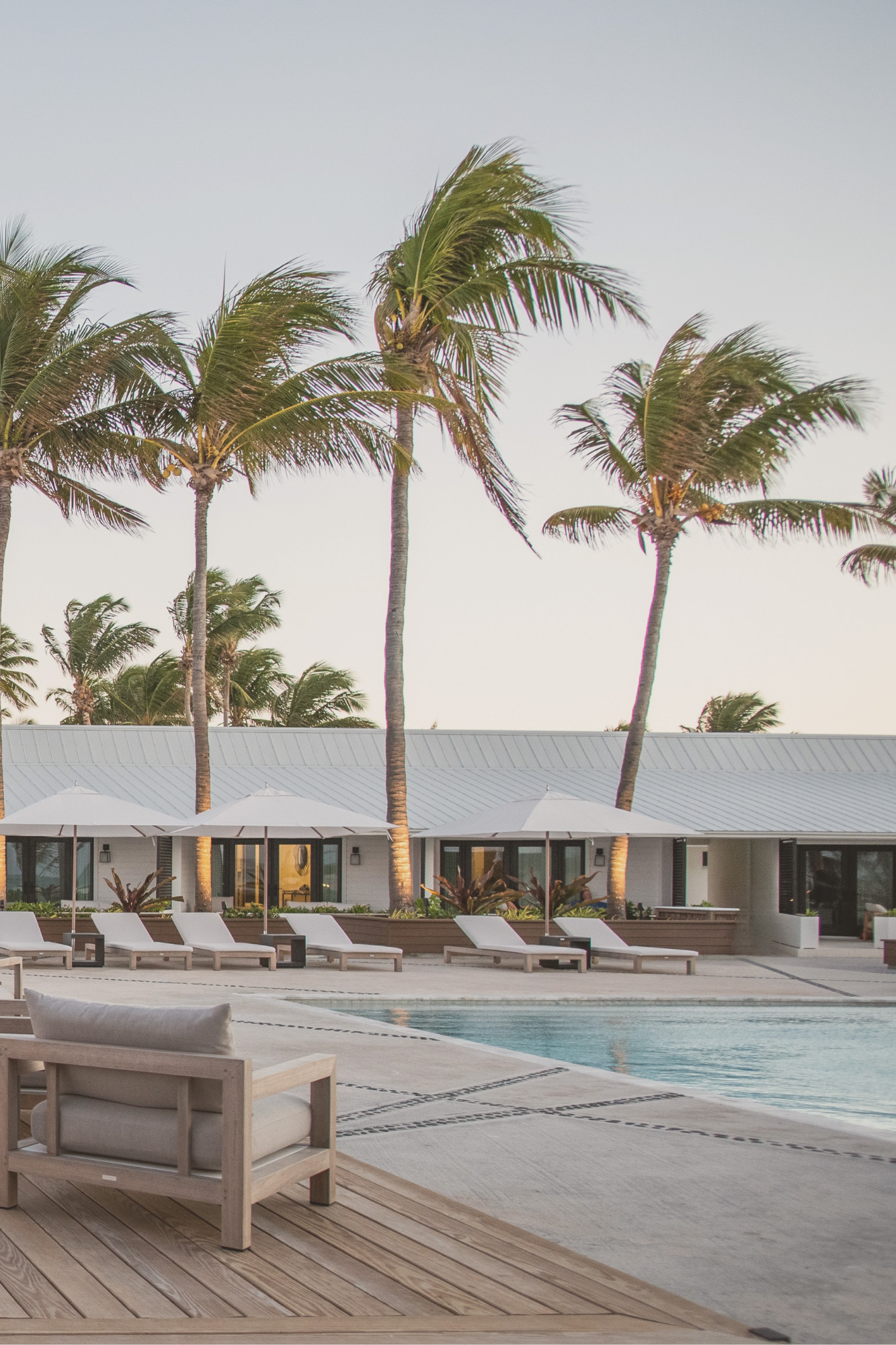 Elegant poolside area at Caerula Mar Club with lounge chairs, umbrellas, and palms by a modern white building in South Andros, Bahamas.